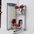 Matriz de gimnasio Torso Rotation Machine Trainer